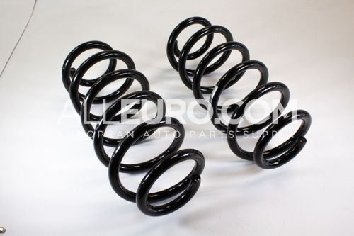 TRW Front Coil Spring 8D0411105DS JCS622