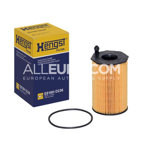 Hengst Engine Oil Filter 95810722220 E816H D236