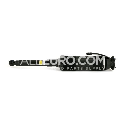 Arnott Rear Right Suspension Strut Assembly 2203206213 SK-2456