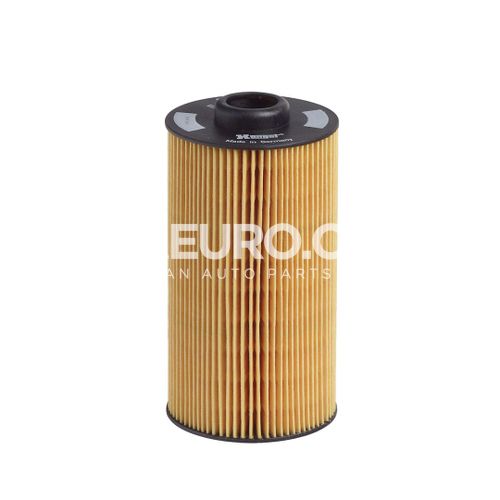 Hengst Engine Oil Filter 11427510717 E202H01 D34