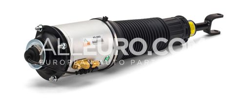 Arnott Front Left Air Suspension Strut 3D0616039AC AS-2893