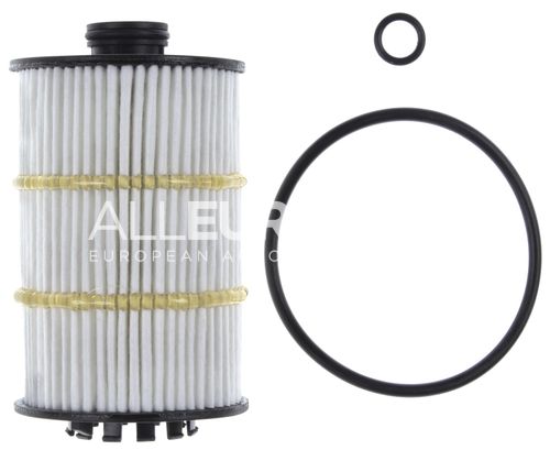 MAHLE Engine Engine Oil Filter 079198405D OX 1123D
