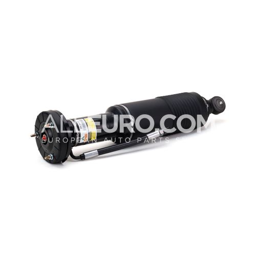 Arnott Front Right Suspension Strut Assembly 2303208813 SK2412