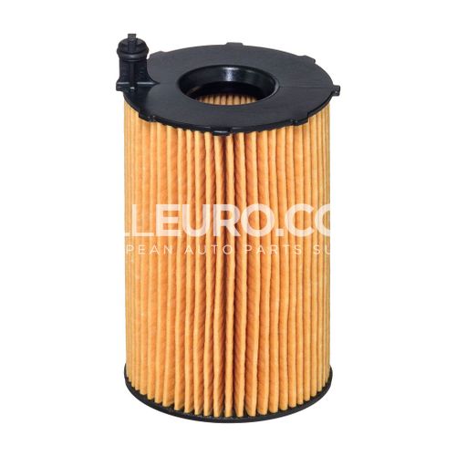 Hengst Engine Oil Filter 95810722220 E816H D236