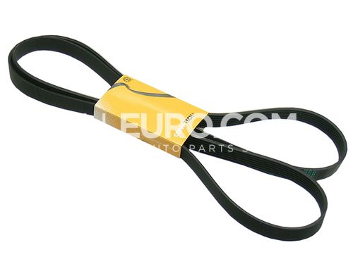 Continental ContiTech Fan - Front Accessory Drive Belt ERR6898 7PK2342