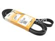 Continental ContiTech Main Drive Serpentine Belt 0019938396
