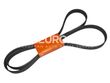 Continental ContiTech Serpentine Belt 0099978792