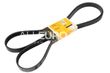 Continental ContiTech Water Pump, Alternator, Air Conditioning and Power Steering Serpentine Belt 06E903137T