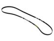 Continental ContiTech Serpentine Belt 077903137AE