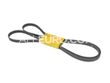 Continental ContiTech Serpentine Belt 077903137S