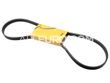 Continental ContiTech Serpentine Belt 11281470025