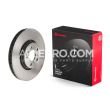Brembo Front Disc Brake Rotor 31400764