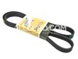 Continental ContiTech Alternator and Air Conditioning Serpentine Belt 11287838226