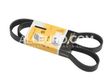 Continental ContiTech Serpentine Belt 31251046