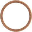 Victor Reinz Engine Block Drain Plug Seal N-013-827-1