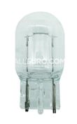 Hella Tail Light Bulb N-107-244-02