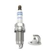 Bosch Spark Plug 101905617